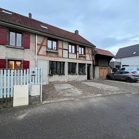 Appartement Plain-Pied Au Coeur De L'Alsace Muttersholtz Exterior photo